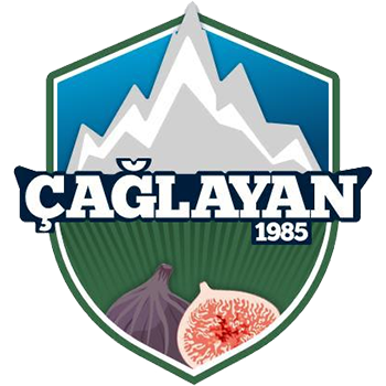 Çağlayan Spor Kulübü